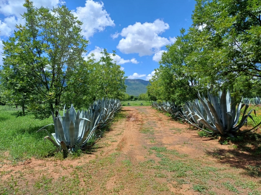 9 Bedroom Property for Sale in Scheerpoort A H North West